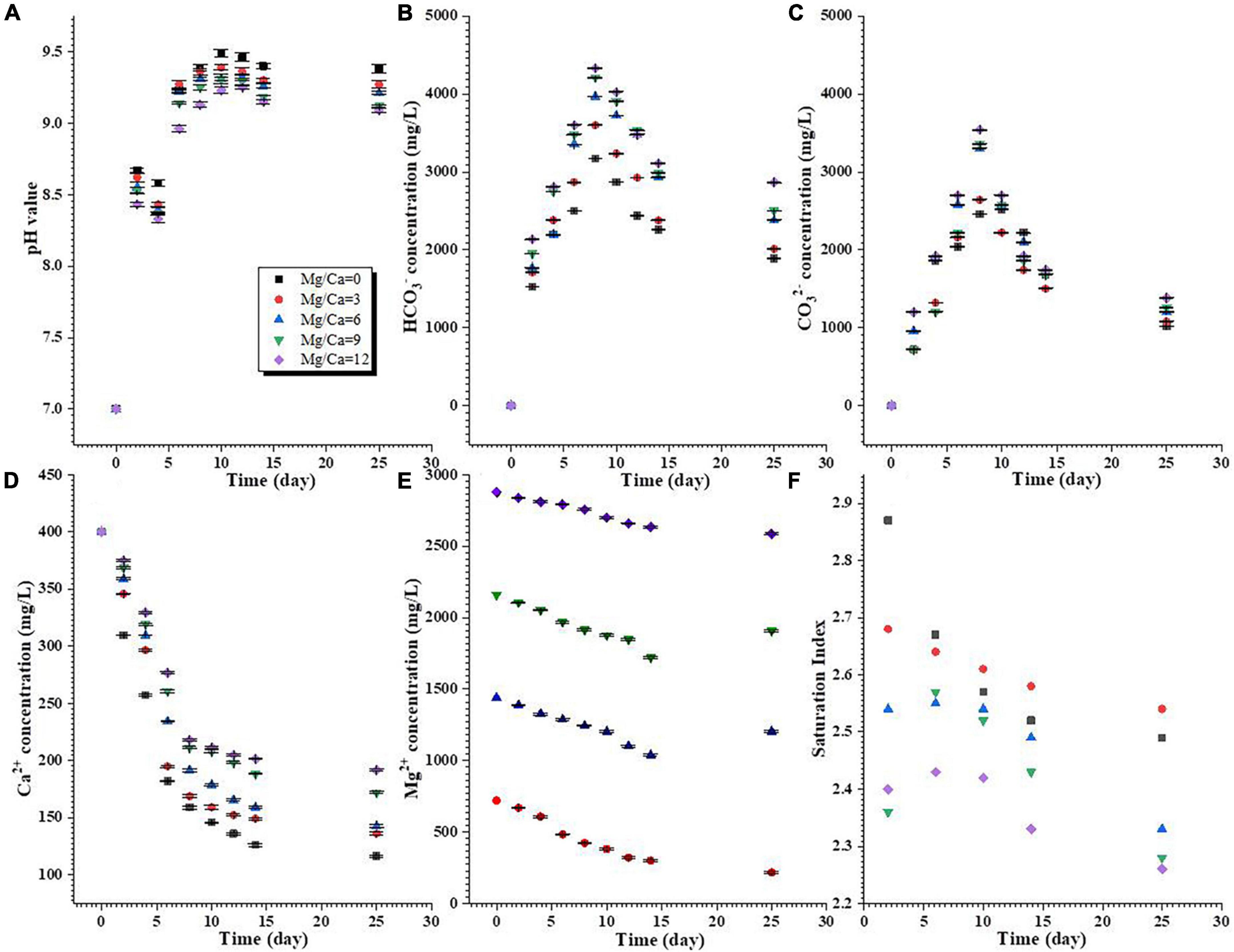 The incorporation of Mg2+ ions into aragonite during biomineralization: Implications for the dolomitization of aragonite